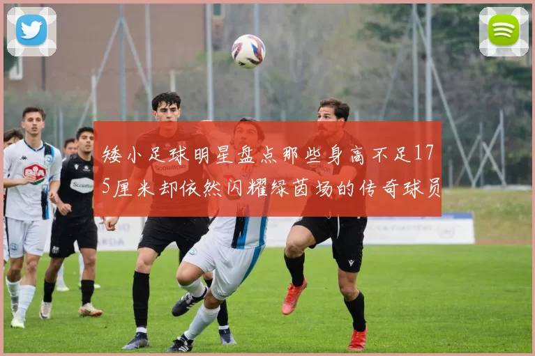 矮小足球明星盘点那些身高不足175厘米却依然闪耀绿茵场的传奇球员