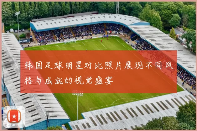 韩国足球明星对比照片展现不同风格与成就的视觉盛宴