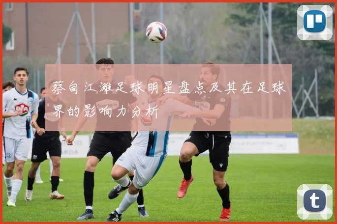 蔡甸江滩足球明星盘点及其在足球界的影响力分析