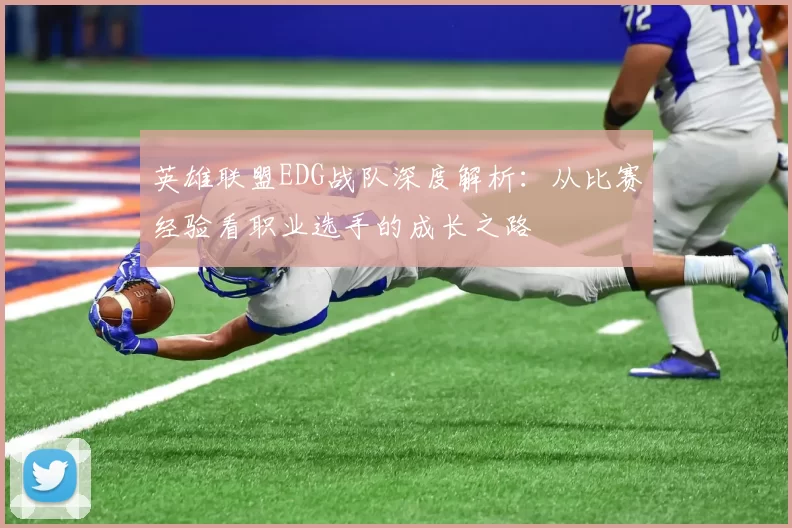 英雄联盟EDG战队深度解析：从比赛经验看职业选手的成长之路