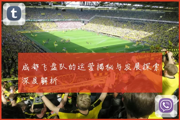 成都飞盘队的运营揭秘与发展探索深度解析