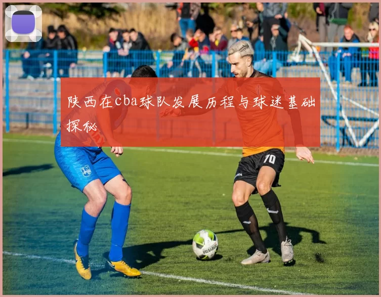 陕西在cba球队发展历程与球迷基础探秘