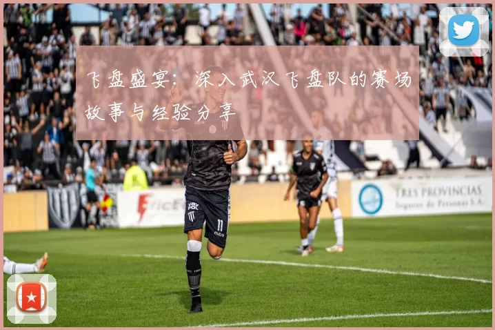 飞盘盛宴：深入武汉飞盘队的赛场故事与经验分享