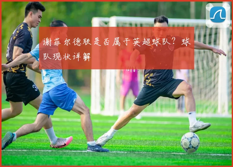 谢菲尔德联是否属于英超球队？球队现状详解