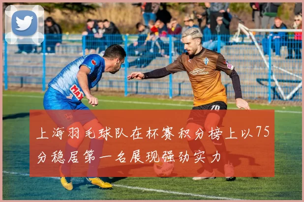 上海羽毛球队在杯赛积分榜上以75分稳居第一名展现强劲实力