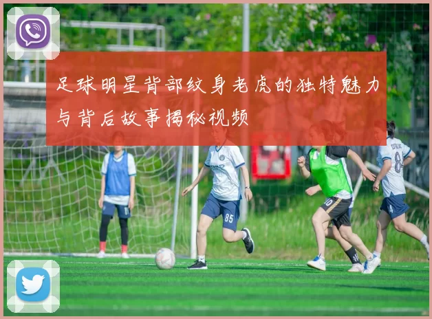 足球明星背部纹身老虎的独特魅力与背后故事揭秘视频