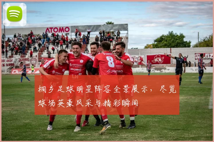 桐乡足球明星阵容全景展示，尽览球场英豪风采与精彩瞬间