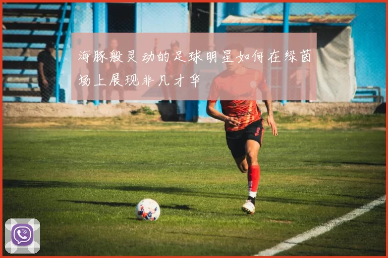 海豚般灵动的足球明星如何在绿茵场上展现非凡才华
