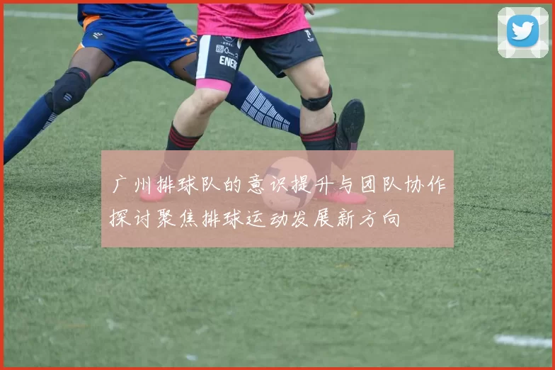 广州排球队的意识提升与团队协作探讨聚焦排球运动发展新方向