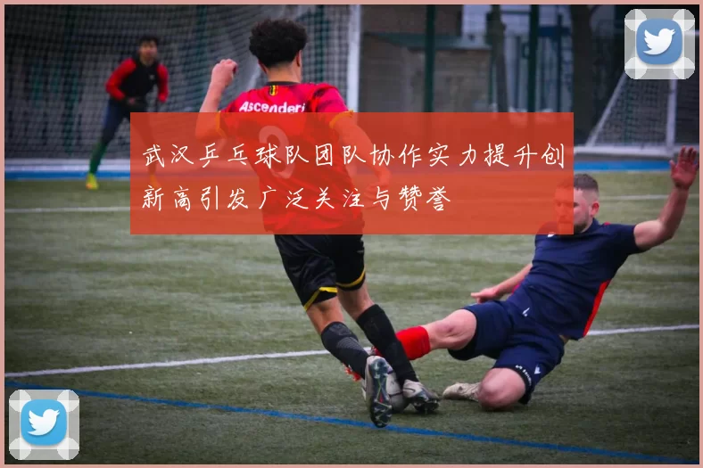 武汉乒乓球队团队协作实力提升创新高引发广泛关注与赞誉