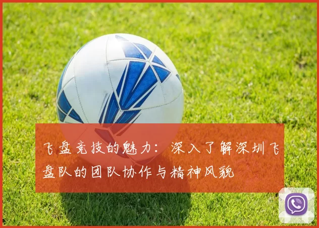 飞盘竞技的魅力：深入了解深圳飞盘队的团队协作与精神风貌