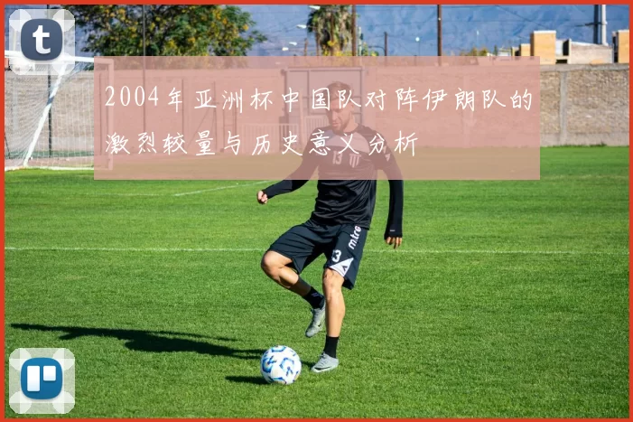 2004年亚洲杯中国队对阵伊朗队的激烈较量与历史意义分析